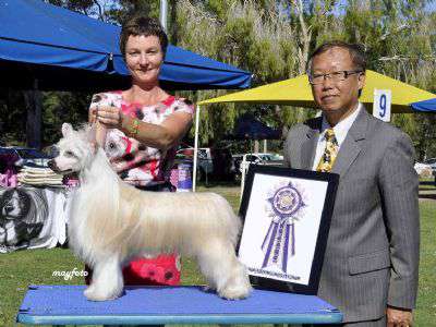 FyreDragon Whisperln de GabriTho