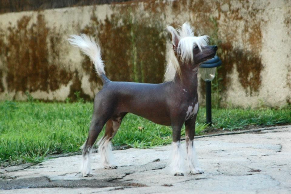 Breakfast at Tiffani's Della Castafiore