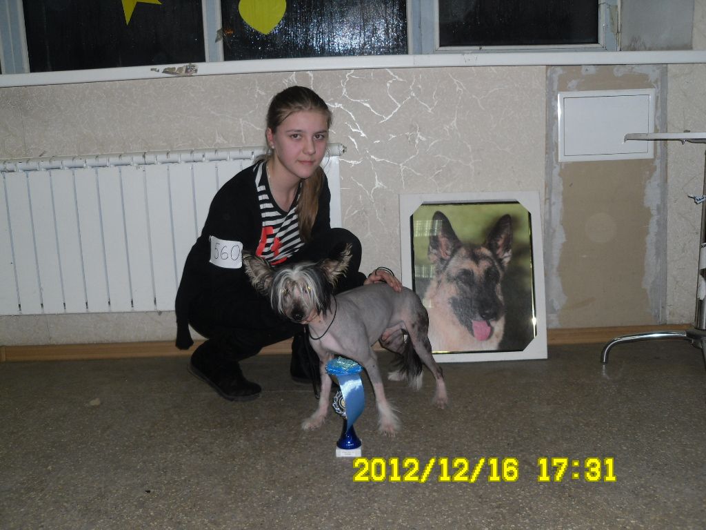 Brauni Shokoladnyi Princ