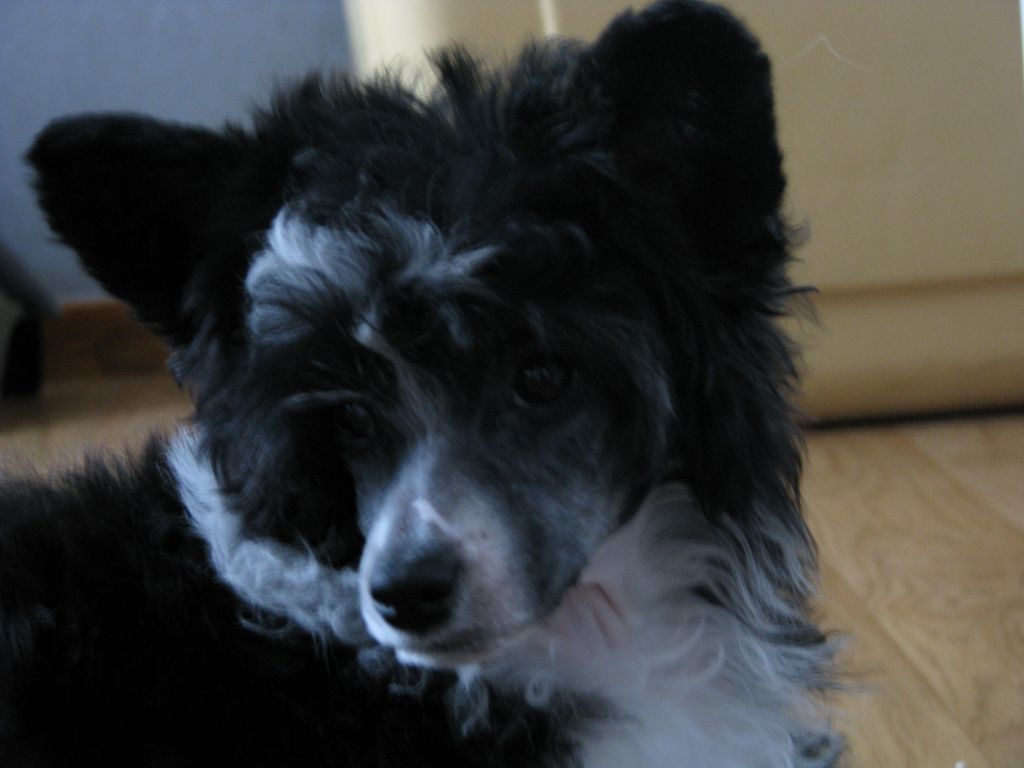 Lucky Line's Oh So Yummy