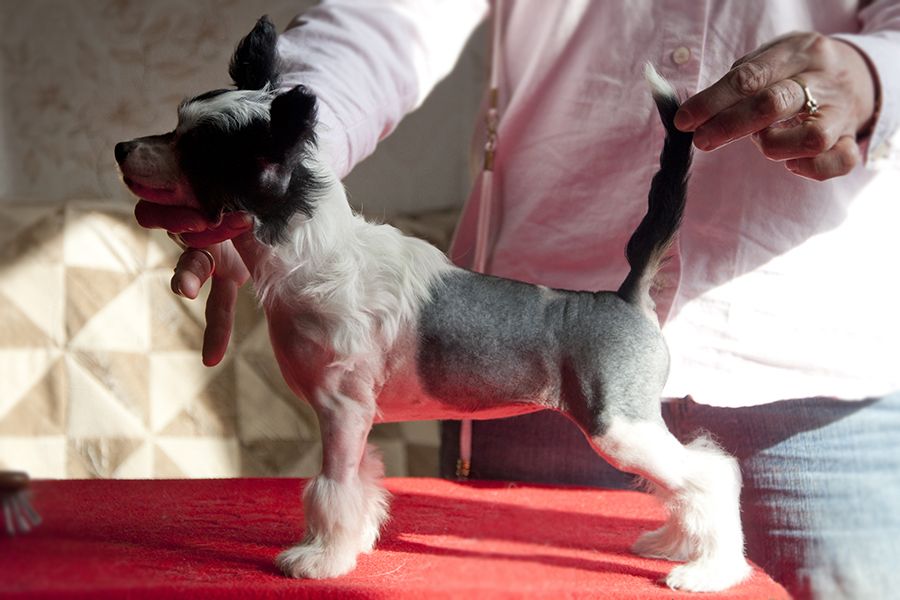 Rovanni Djekattolo Bianca Kajlich