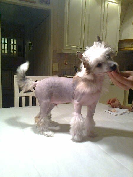 Candy Queen's Naked In The Rain