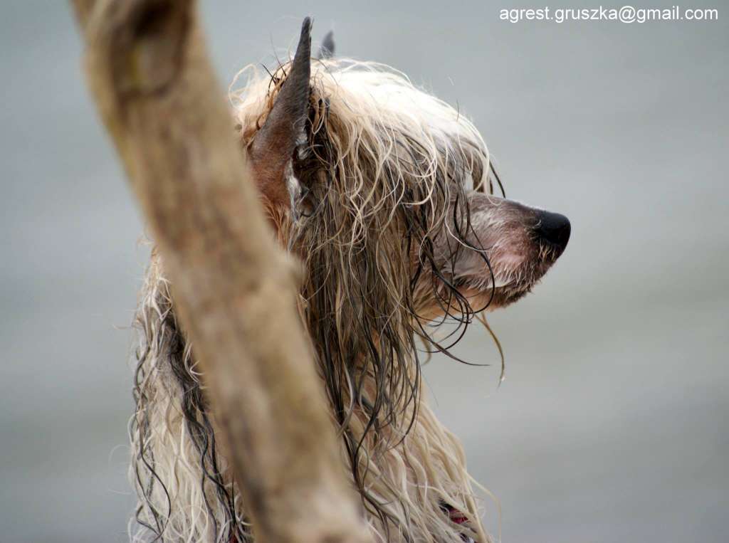 Bebe Lilly Athel Loren