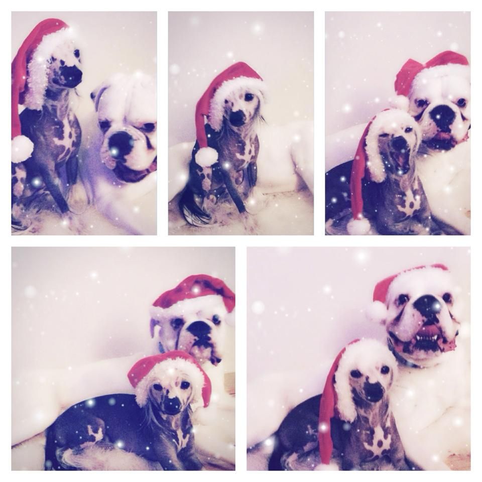 Yunao's Jamiro Jo Jeron