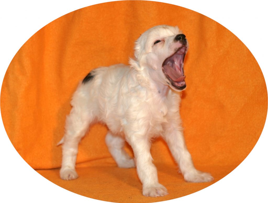 Breakin all the Rules von der Sturmhöhe