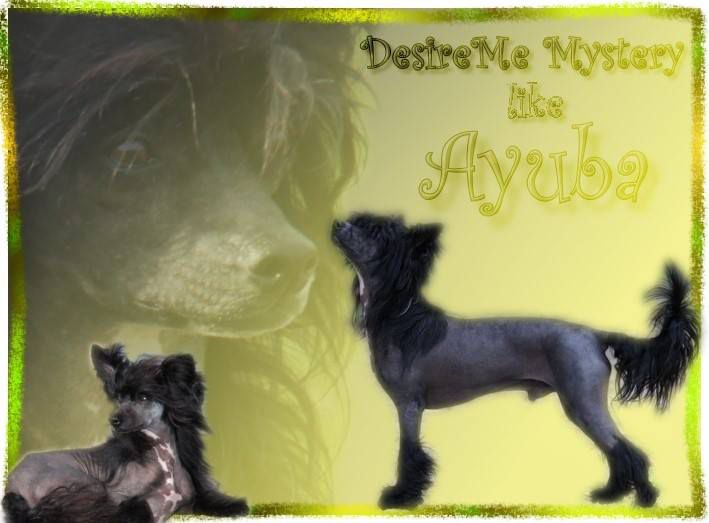 Desireme  Mystery like Ayuba