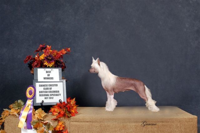 Whispering Lane Diamonds R Forever