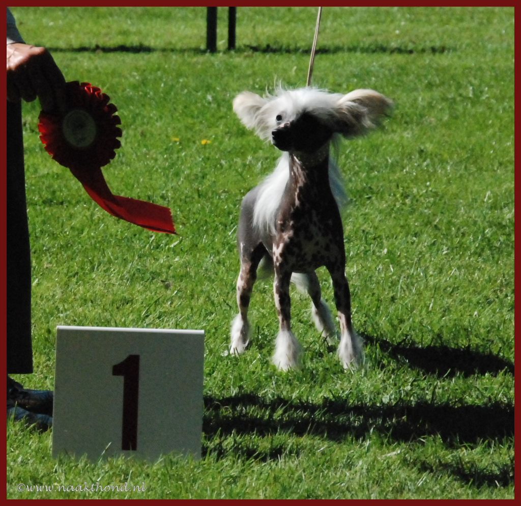 Another Beauty of Roxy's Pride