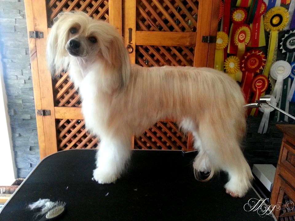 Bonaparte Rocks by Little Jade