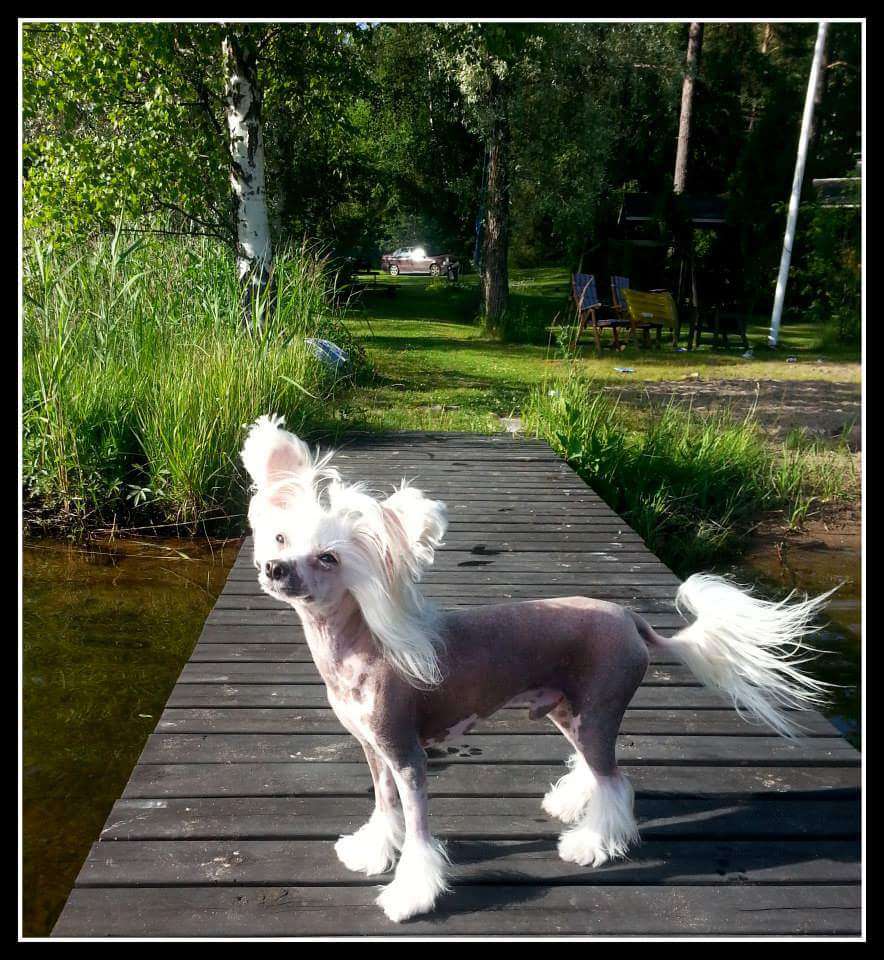 Naked Stars Slave Of My Thirst