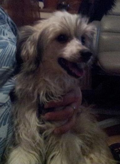 Troublemaker von Nocolade