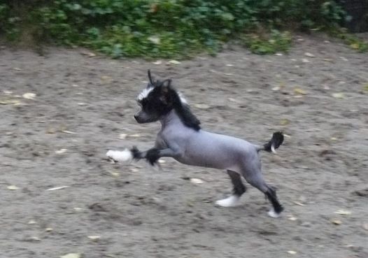 Kelly Top Model De Rama