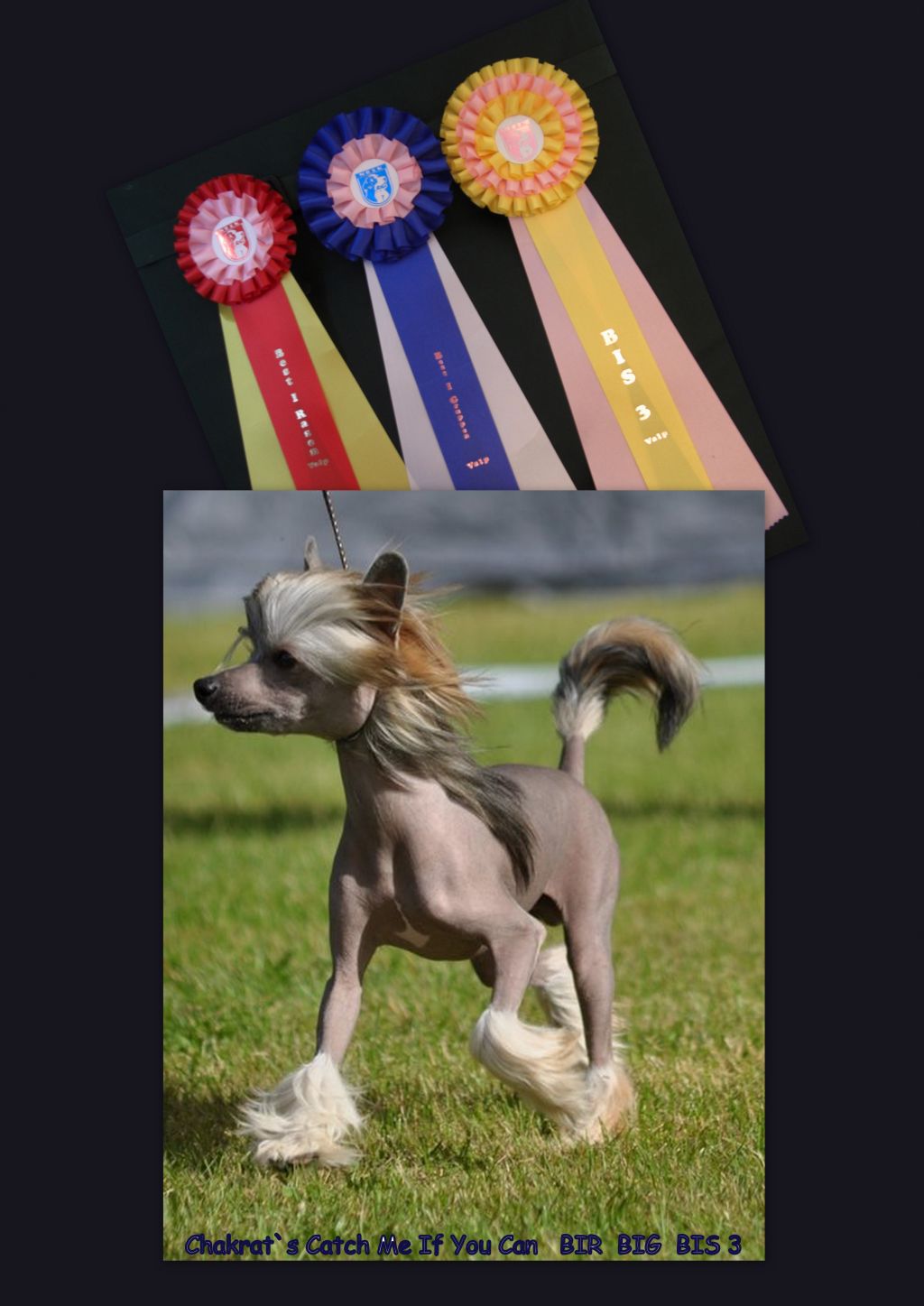 Chakrat's Catch Me If You Can