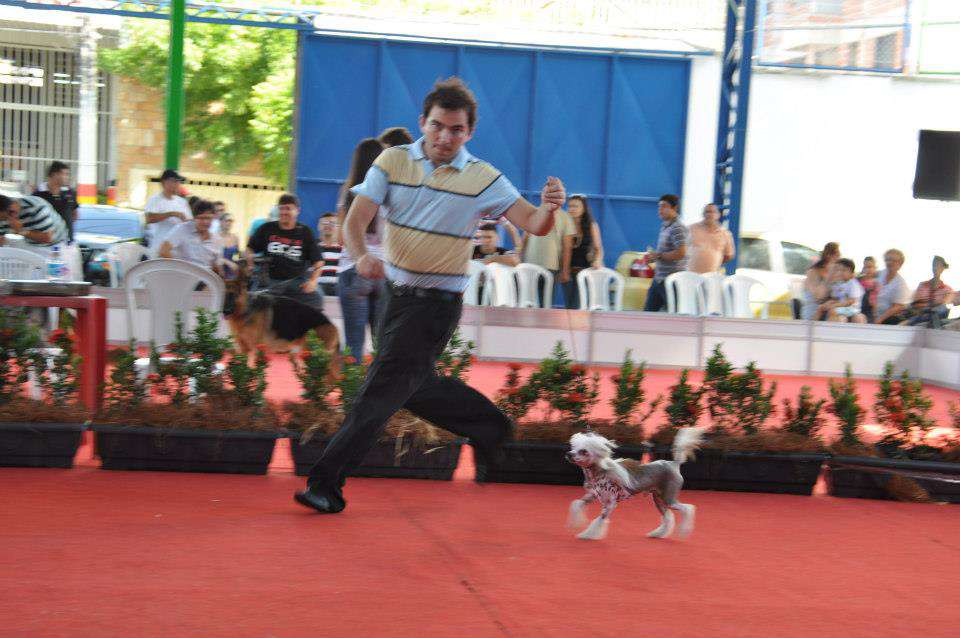 Pequin Mirrage Burning Love