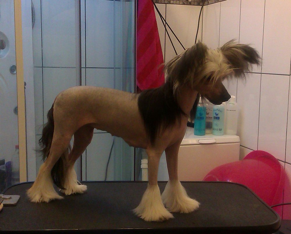 Naked Stars Set Fire To The Rain