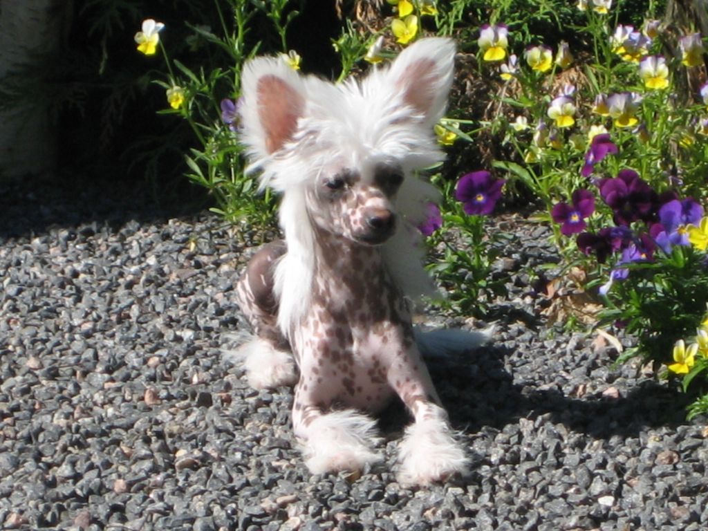 Passer-By Keep Smiling