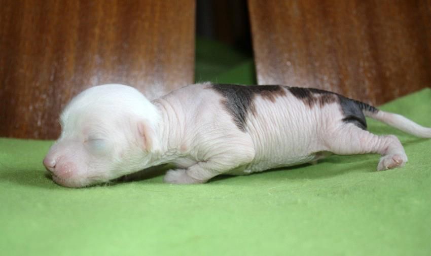 Passer-By Keep Flying