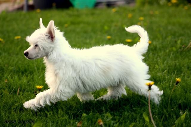 Passer-By Keep Running