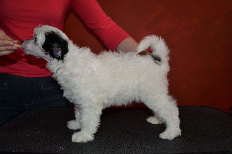 Naked Night's Eagleheart