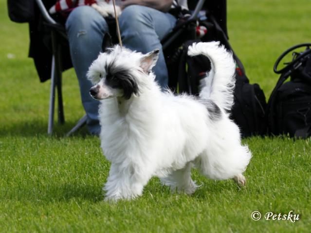 Naked Night's Higher We Go