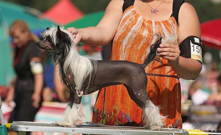 Cindirella Little Magic