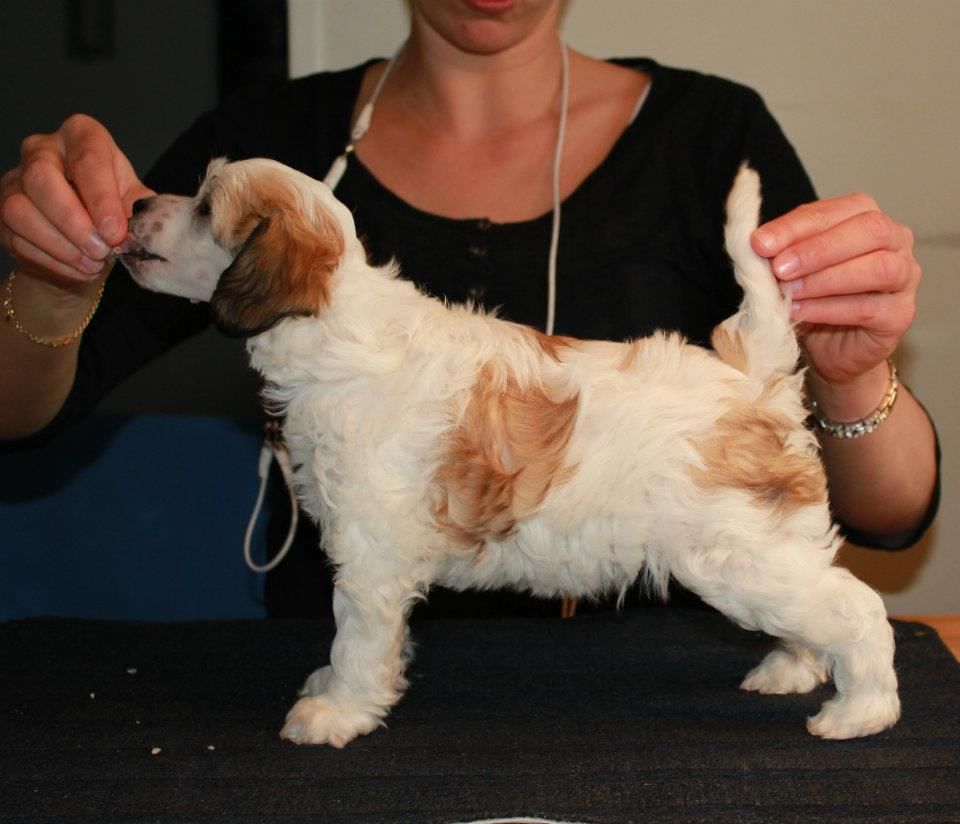 Bed-ma's Forever In My Heart