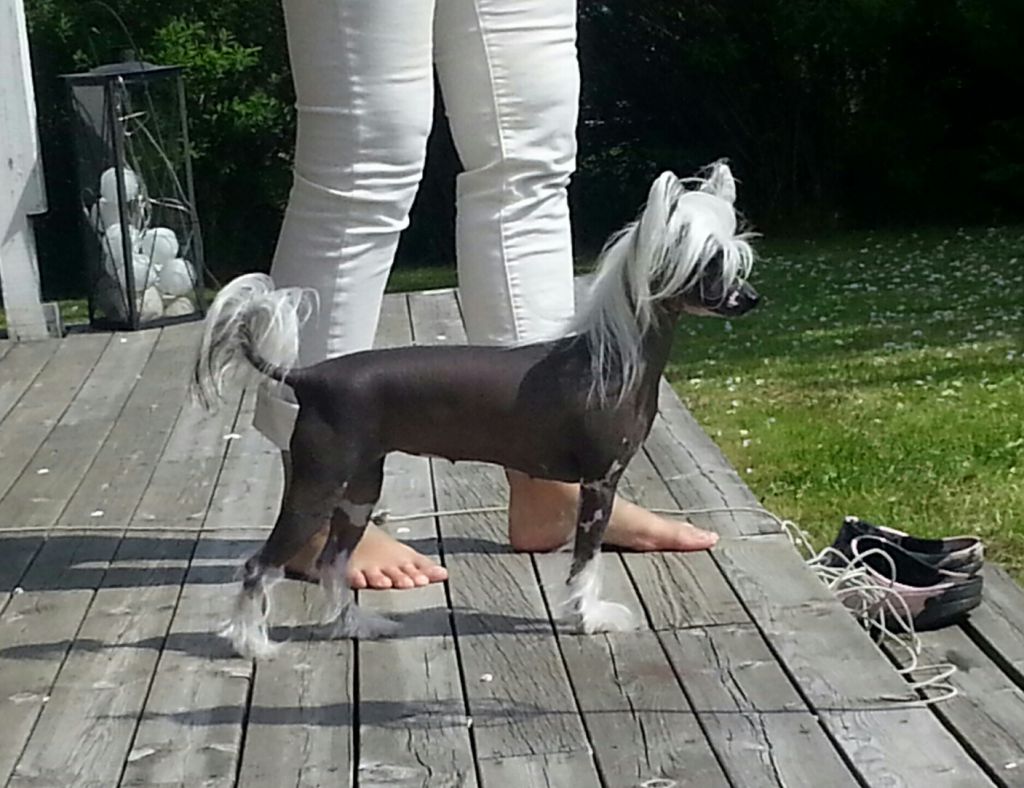 Twice as Nice With a Twist