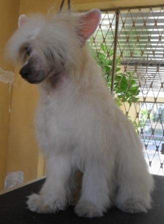 Praia do Sossego Aramis Iris Azul