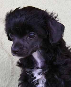 Christin Quickly in Love