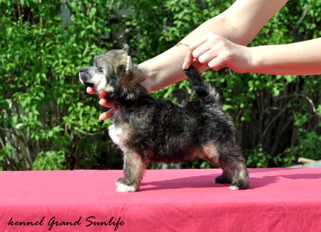 Grand Sunlife Musha Cay