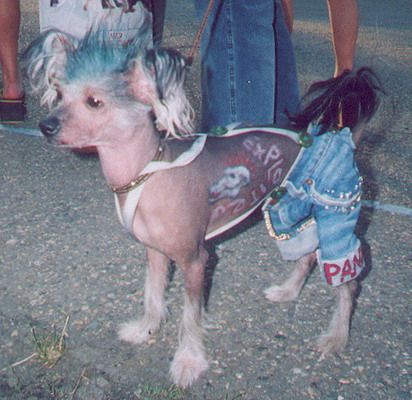 Herbert Schwartz Gray