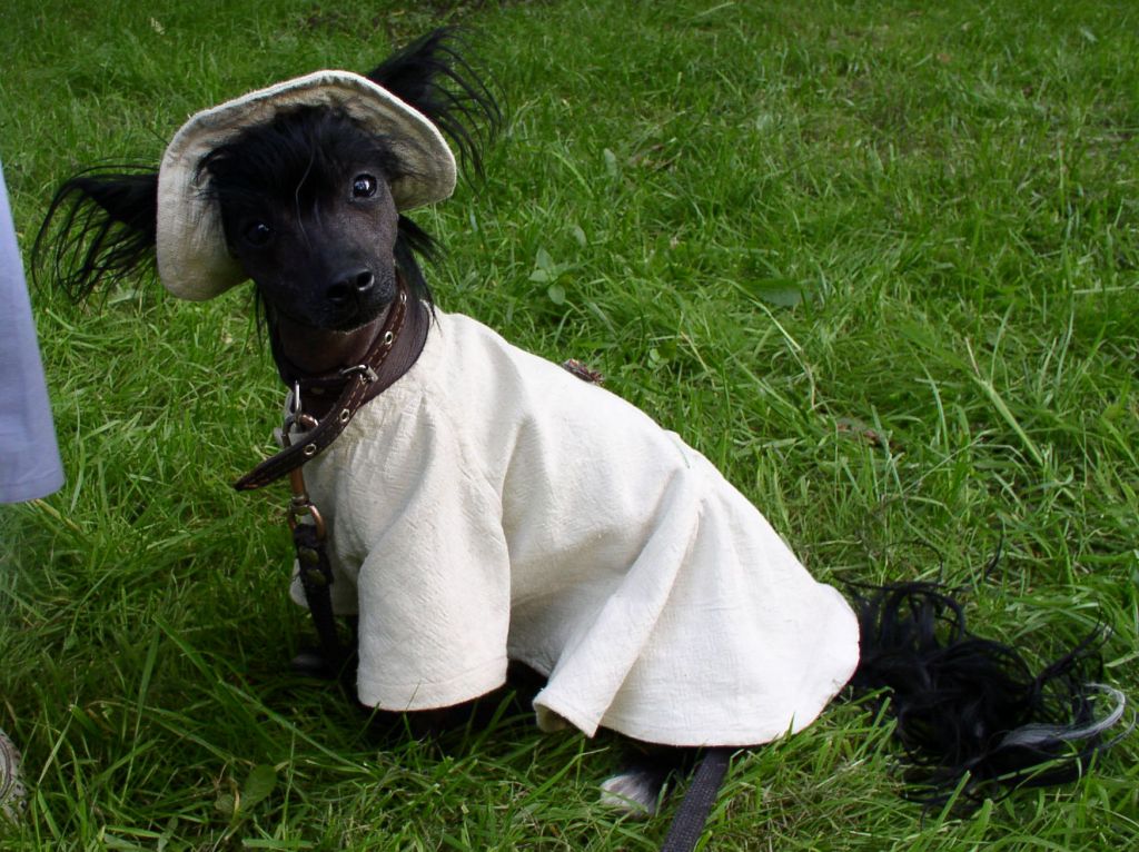 Geares Zvezda Podnebesnoi Imperii