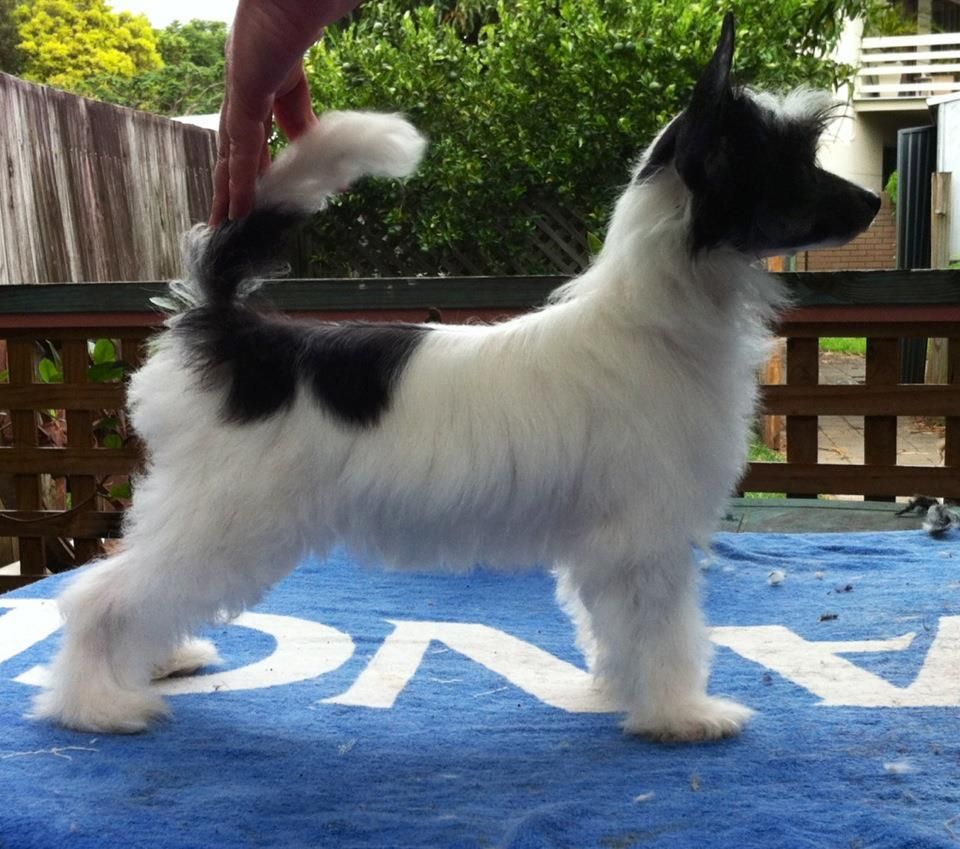 Liliah That Midnight Kiss