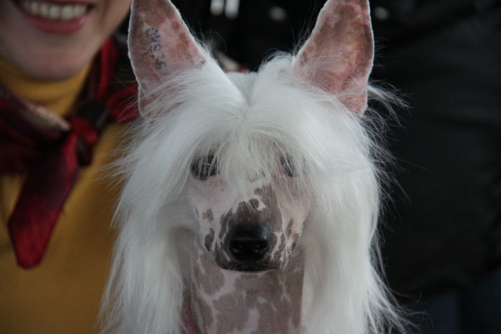 Zheneva-Debjut Arabeska