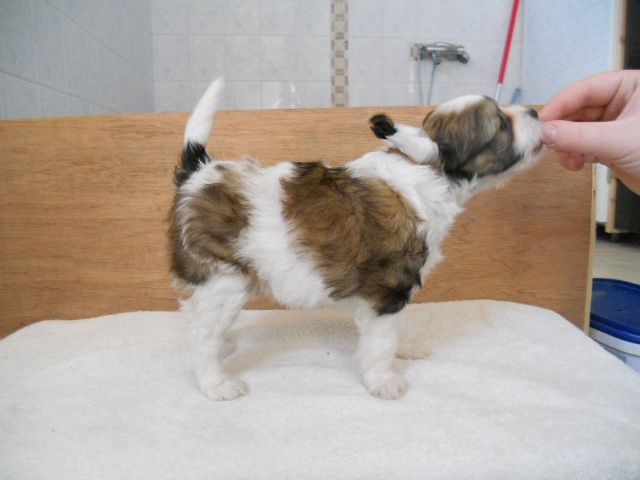 Magic'N Mystic Ocean Of Secrets