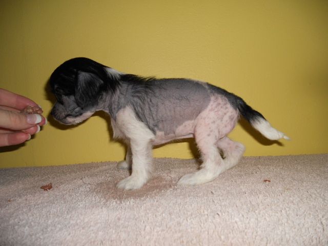 Magic'N Mystic Passionate Kisses