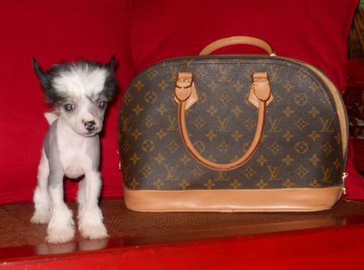 Mythic DCole Born To Be A Star