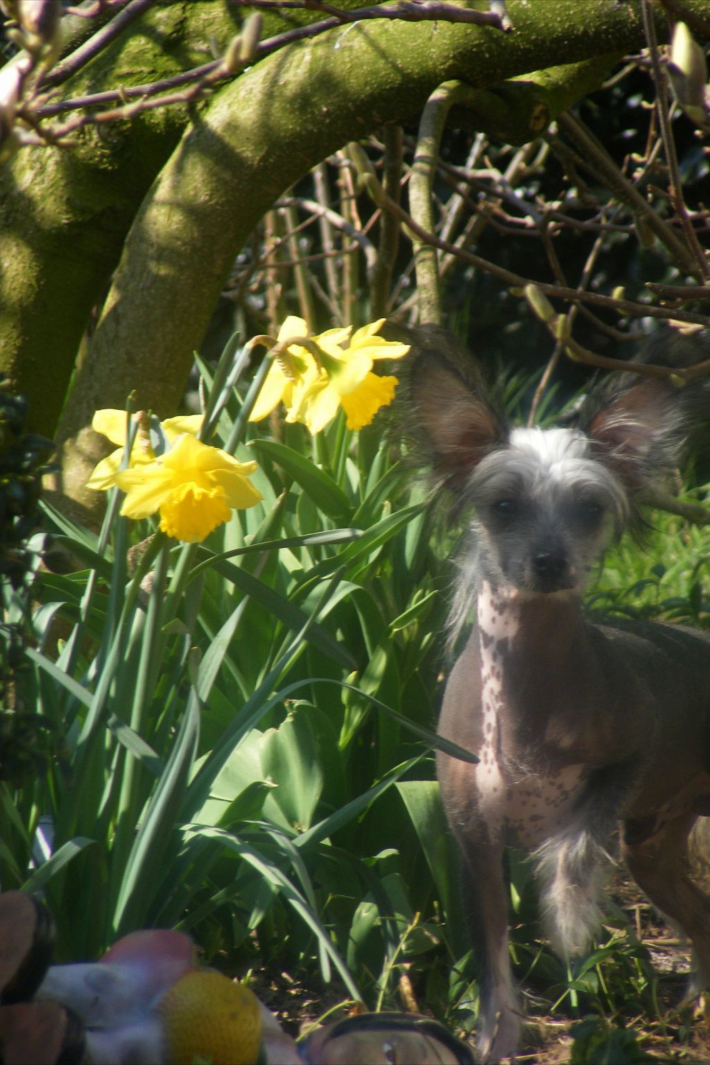 Jack The Stripper Di Casa Romano