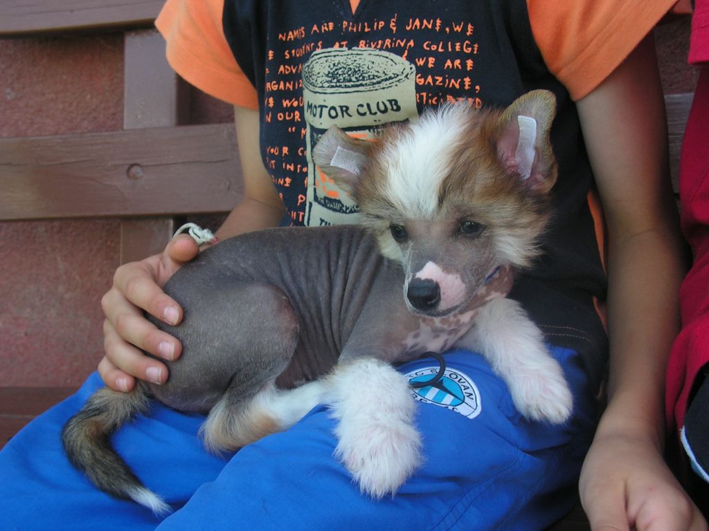 Atricio Minas Gereas