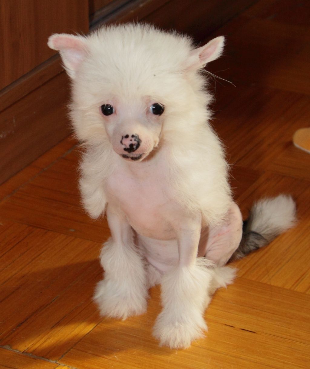 Premier Mari Lucia Bianca