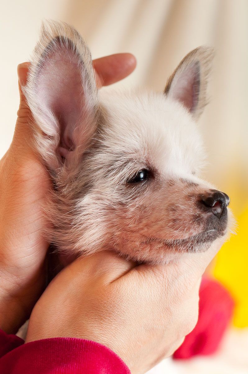 Unreal Krutbl Radion Raskol'nikov 