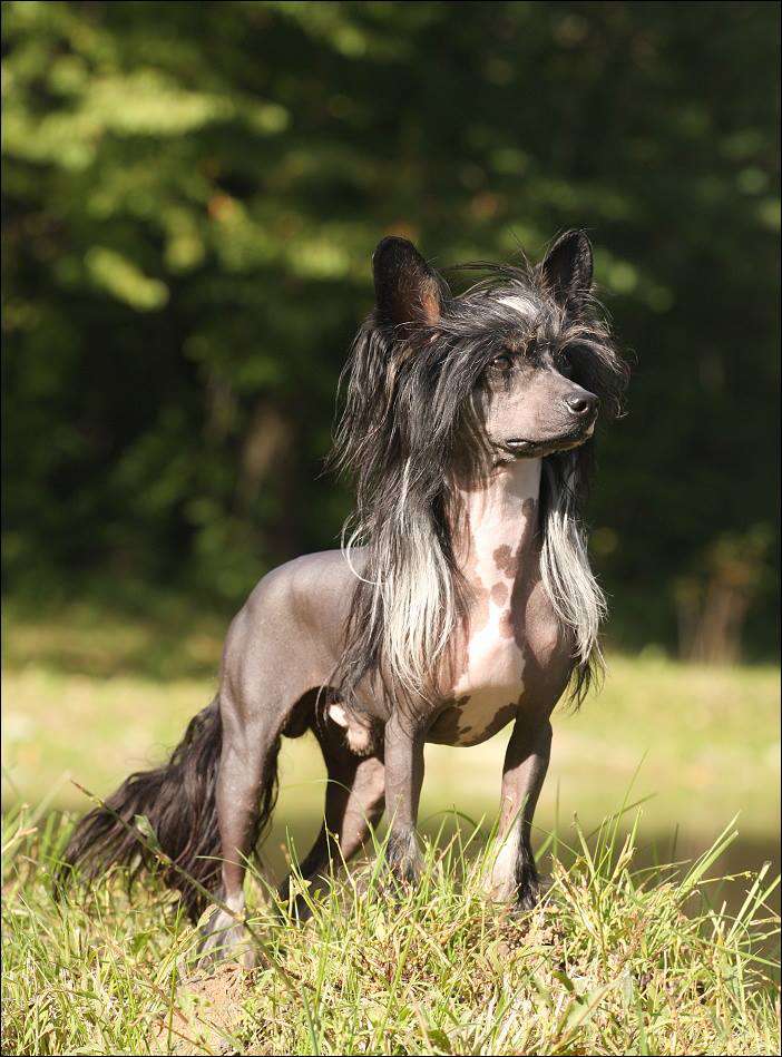 Maybell's Lord Of The Rings