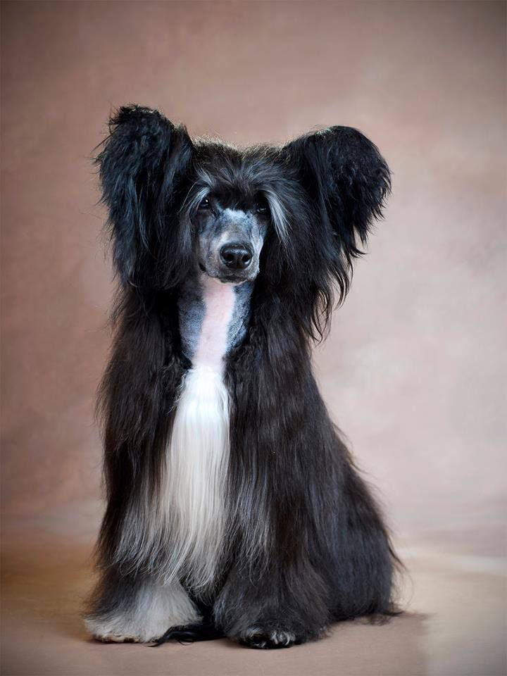 Maybell's Last Man Standing