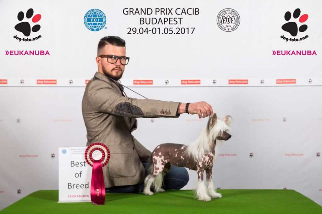 Amina Black & White Border