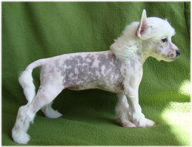 Baby Pearl Lady Mary