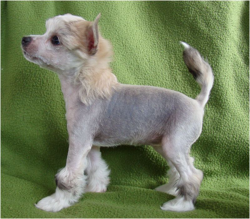 Baby Pearl Lady Estelle