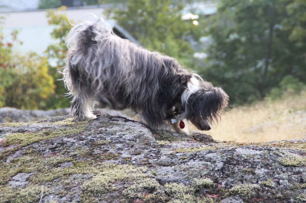 Maybell's Me Only Me