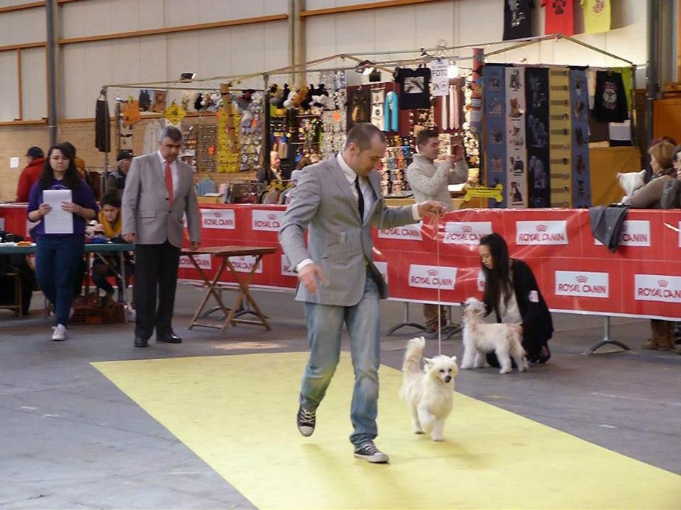 Britney z Jasne hvezdy