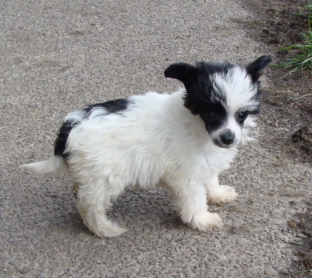 Tamarsh White Wedding