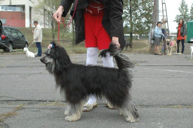 Gucci Zhguchi Aleksa's House